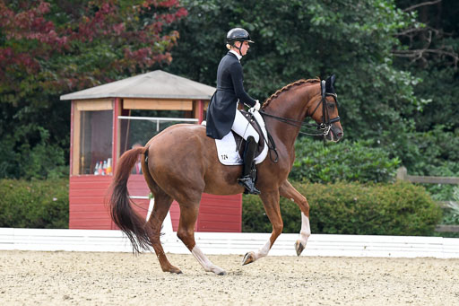 Anakenenhof    Dressur  25.08.2023 | Anakenenhof Prfg 3_481 