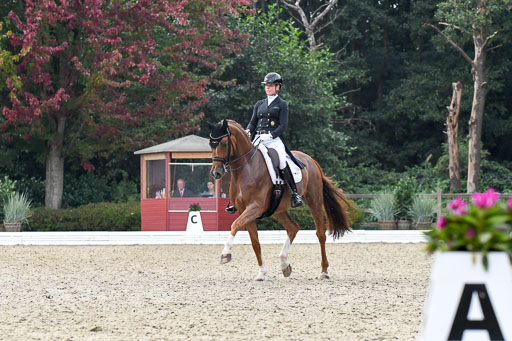 Anakenenhof    Dressur  25.08.2023 | Anakenenhof Prfg 3_484 