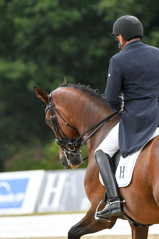 Anakenenhof    Dressur  25.08.2023 | Anakenenhof Prfg 3_495 