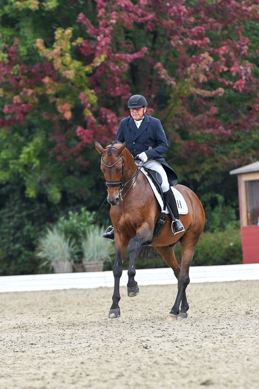 Anakenenhof    Dressur  25.08.2023 | Anakenenhof Prfg 3_515 