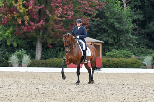 Anakenenhof    Dressur  25.08.2023 | Anakenenhof Prfg 3_521 