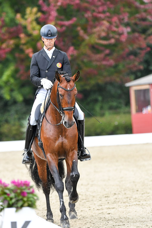 Anakenenhof    Dressur  25.08.2023 | Anakenenhof Prfg 3_527 