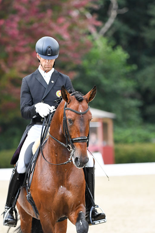 Anakenenhof    Dressur  25.08.2023 | Anakenenhof Prfg 3_529 