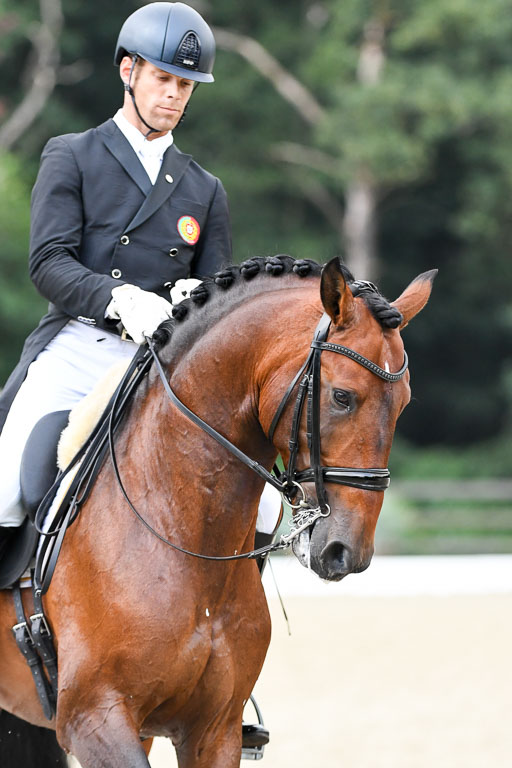 Anakenenhof    Dressur  25.08.2023 | Anakenenhof Prfg 3_530 