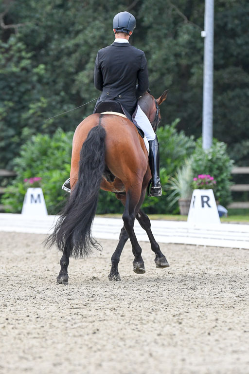 Anakenenhof    Dressur  25.08.2023 | Anakenenhof Prfg 3_542 