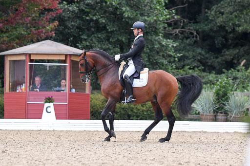 Anakenenhof    Dressur  25.08.2023 | Anakenenhof Prfg 3_547 