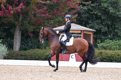 Anakenenhof    Dressur  25.08.2023 | Anakenenhof Prfg 3_550 