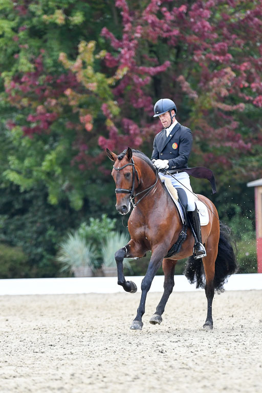 Anakenenhof    Dressur  25.08.2023 | Anakenenhof Prfg 3_552 