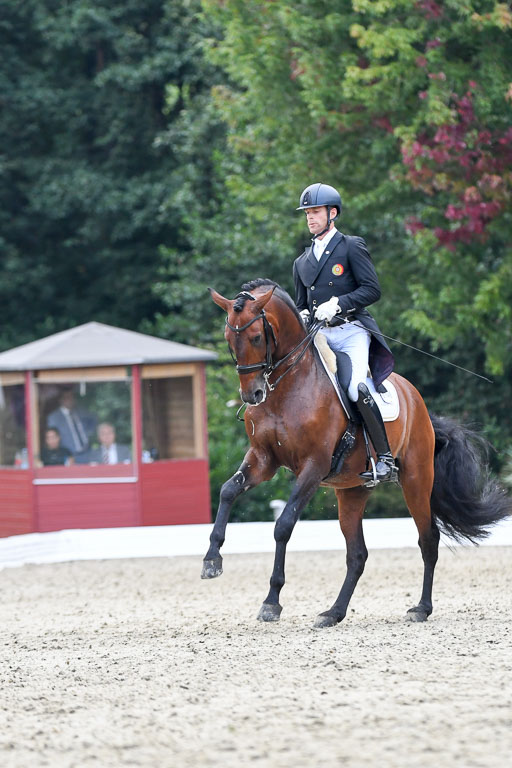 Anakenenhof    Dressur  25.08.2023 | Anakenenhof Prfg 3_555 