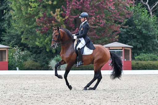 Anakenenhof    Dressur  25.08.2023 | Anakenenhof Prfg 3_557 