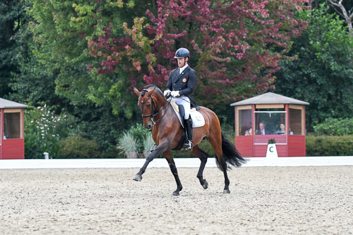 Anakenenhof    Dressur  25.08.2023 | Anakenenhof Prfg 3_559 