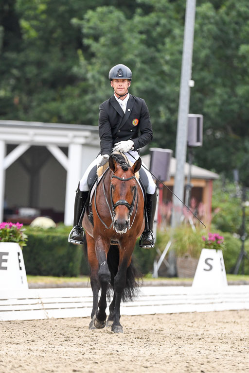 Anakenenhof    Dressur  25.08.2023 | Anakenenhof Prfg 3_562 