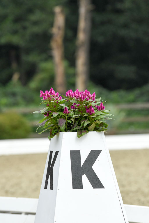 Anakenenhof    Dressur  25.08.2023 | Impressionen_20 