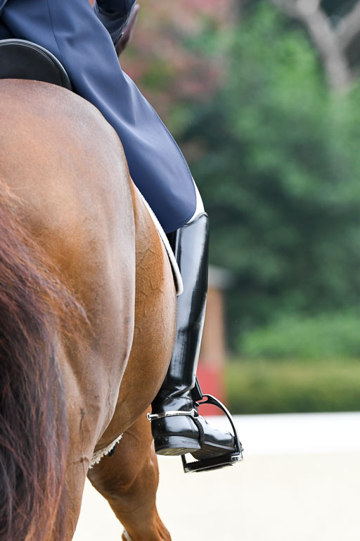 Anakenenhof    Dressur  25.08.2023 | Impressionen_31 