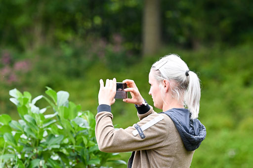 Anakenenhof    Dressur  25.08.2023 | Impressionen_32 