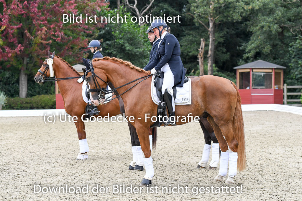 Anakenenhof    Dressur  25.08.2023 | DSC_3299 