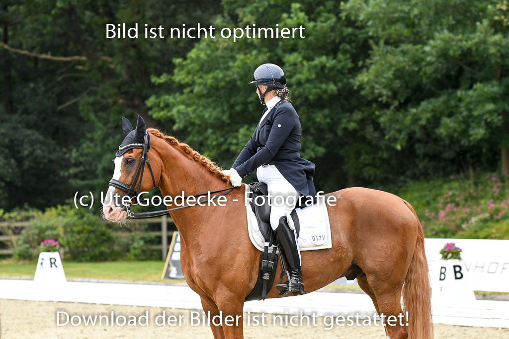 Anakenenhof    Dressur  25.08.2023 | DSC_3338 