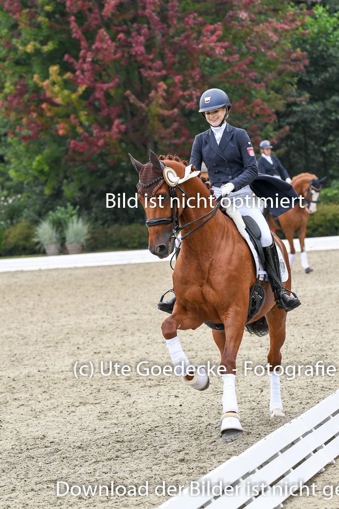 Anakenenhof    Dressur  25.08.2023 | DSC_3353 