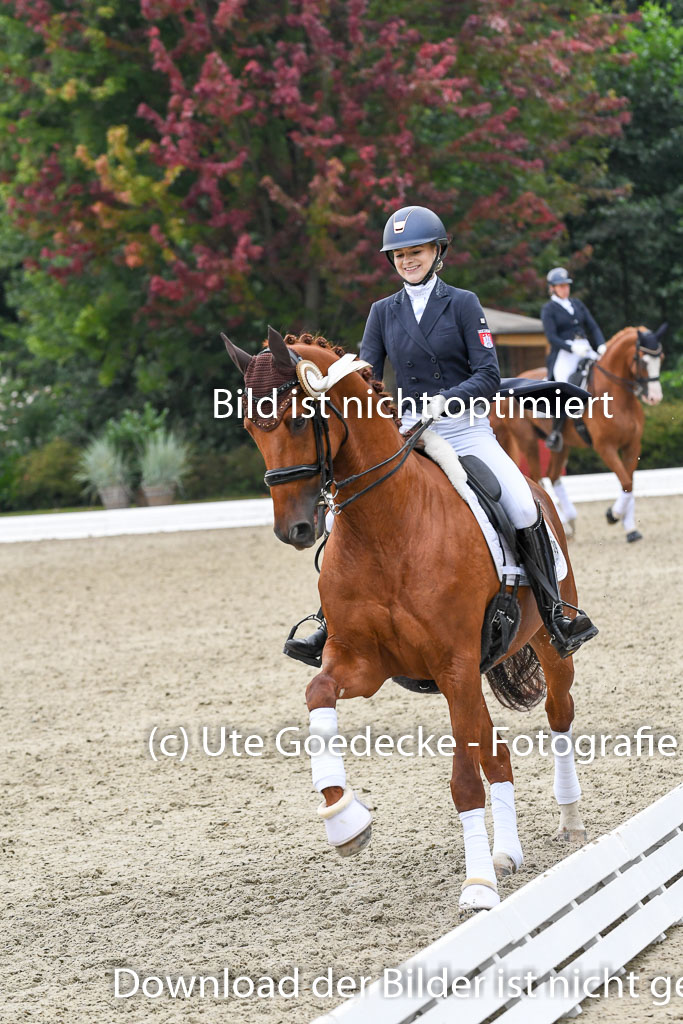 Anakenenhof    Dressur  25.08.2023 | DSC_3354 