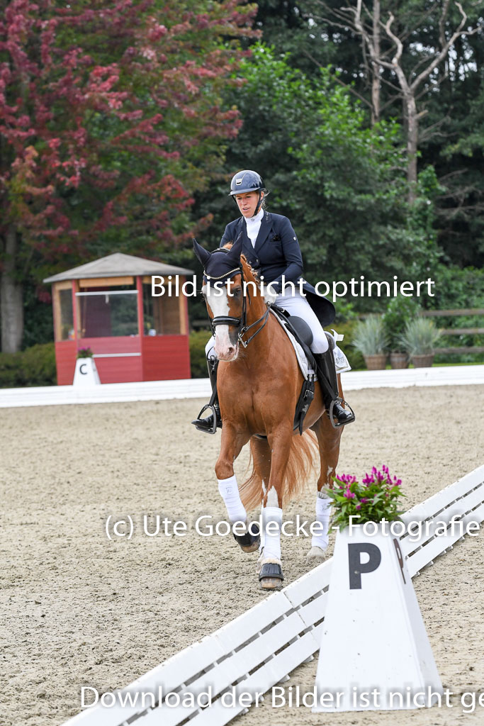 Anakenenhof    Dressur  25.08.2023 | DSC_3369 