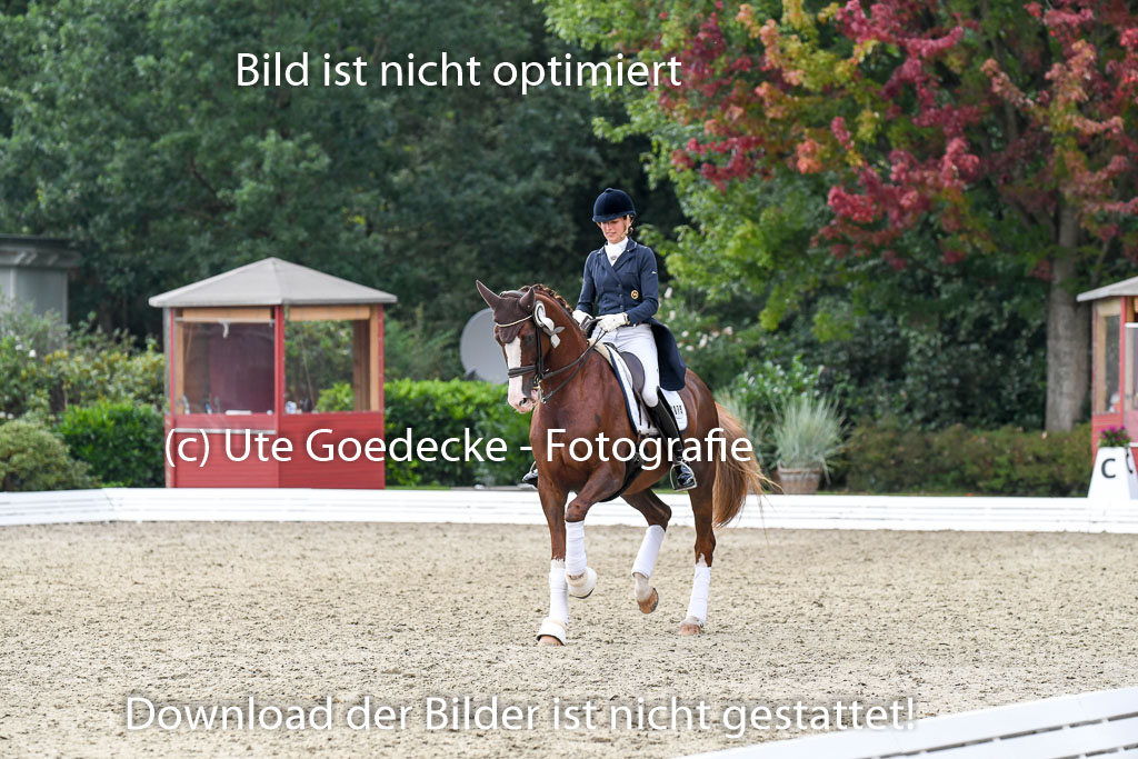 Anakenenhof    Dressur  25.08.2023 | DSC_5065 