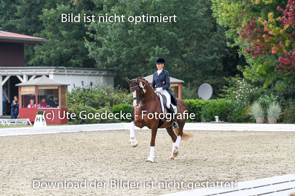 Anakenenhof    Dressur  25.08.2023 | DSC_5070 