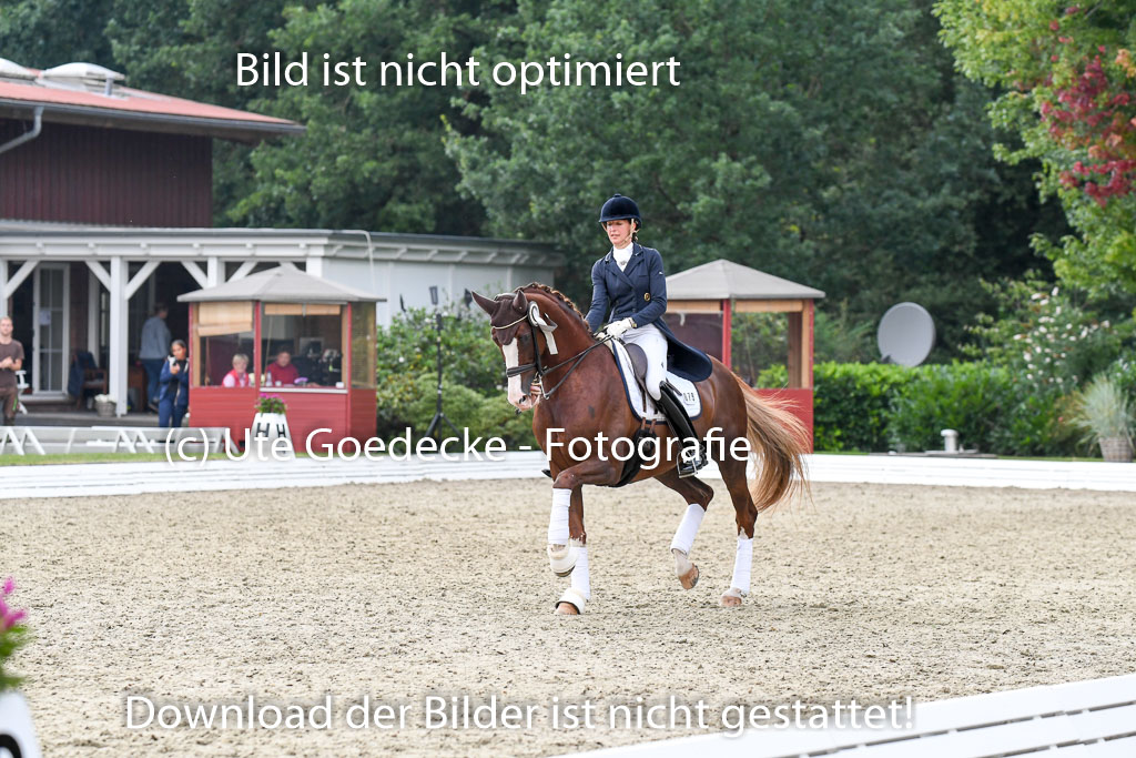 Anakenenhof    Dressur  25.08.2023 | DSC_5072 