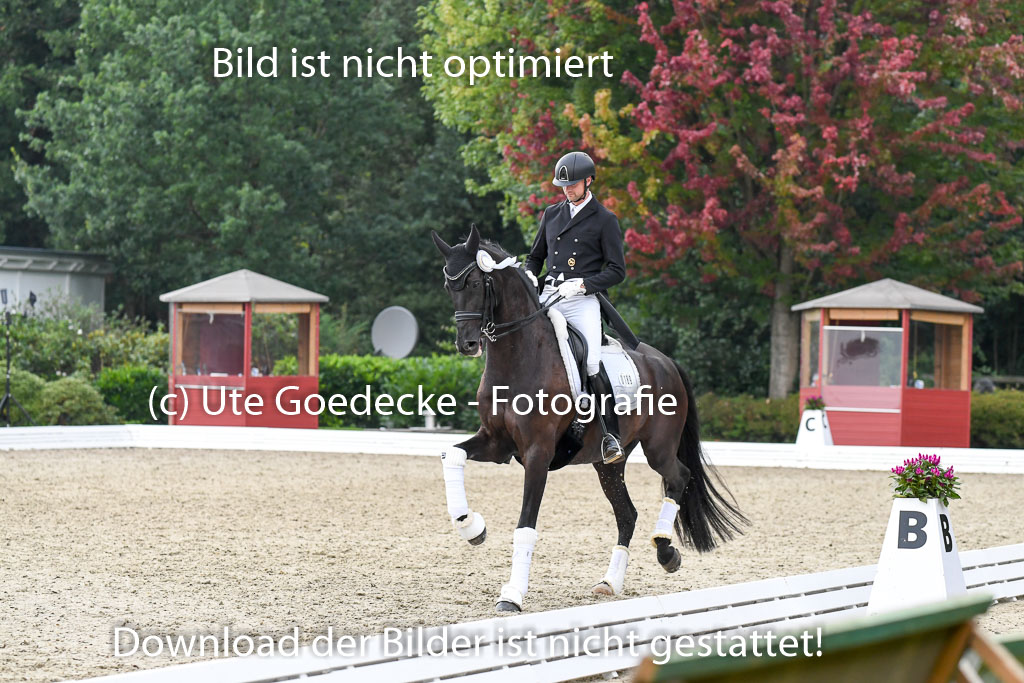 Anakenenhof    Dressur  25.08.2023 | DSC_5080 