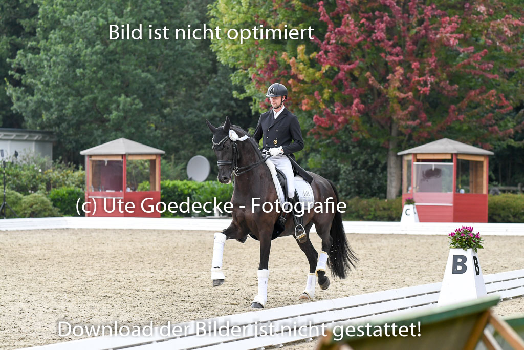 Anakenenhof    Dressur  25.08.2023 | DSC_5081 