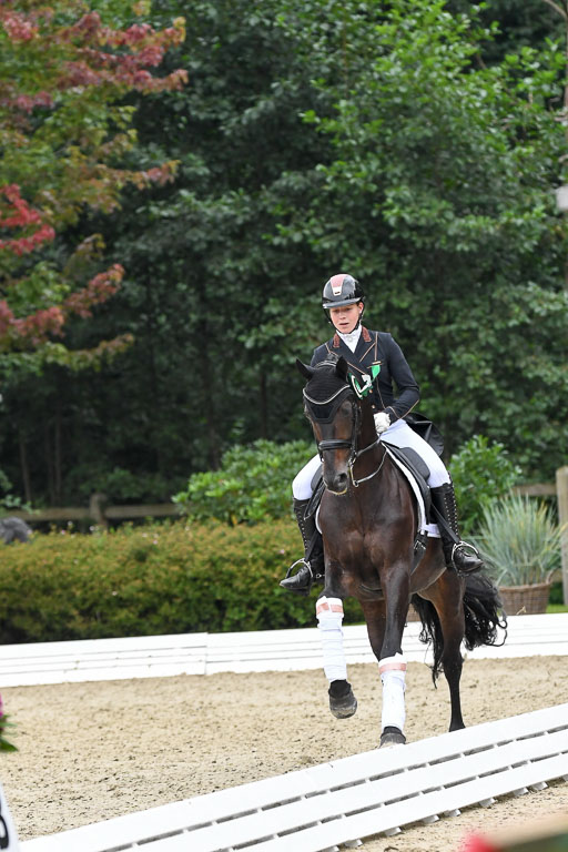 Anakenenhof    Dressur  25.08.2023 | DSC_3229 