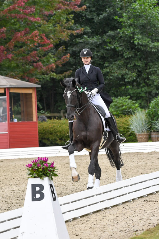 Anakenenhof    Dressur  25.08.2023 | DSC_3241 