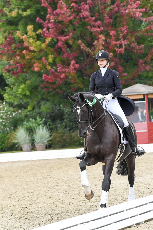 Anakenenhof    Dressur  25.08.2023 | DSC_3242 