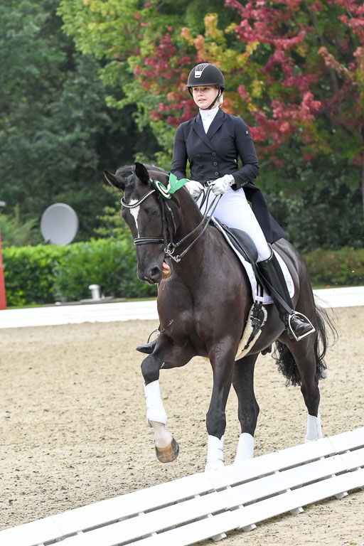 Anakenenhof    Dressur  25.08.2023 | DSC_3245 