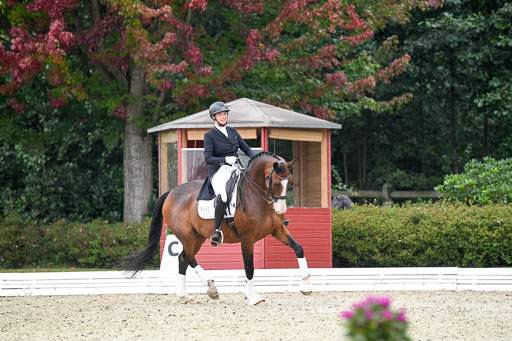 Anakenenhof    Dressur  25.08.2023 | DSC_3247 