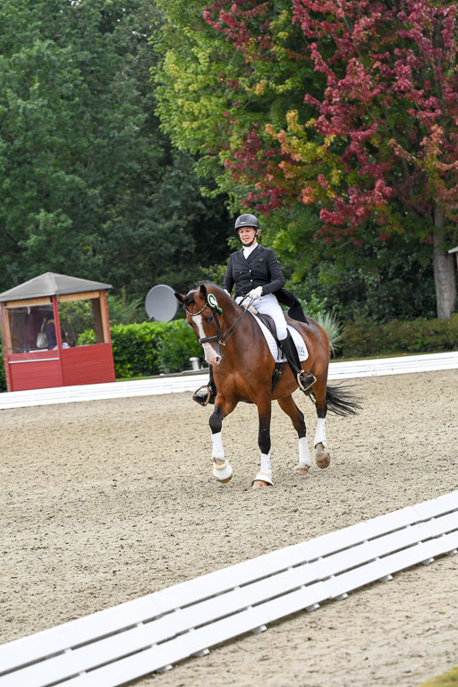 Anakenenhof    Dressur  25.08.2023 | DSC_3254 