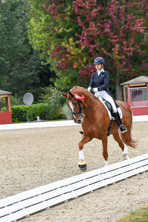 Anakenenhof    Dressur  25.08.2023 | DSC_3267 