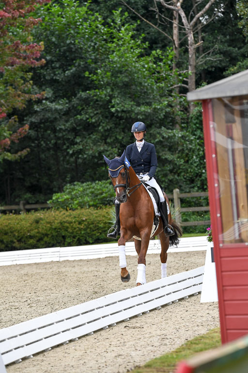 Anakenenhof    Dressur  25.08.2023 | DSC_3275 