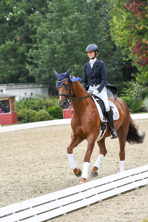 Anakenenhof    Dressur  25.08.2023 | DSC_3282 