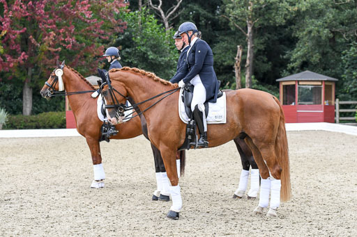 Anakenenhof    Dressur  25.08.2023 | DSC_3299 