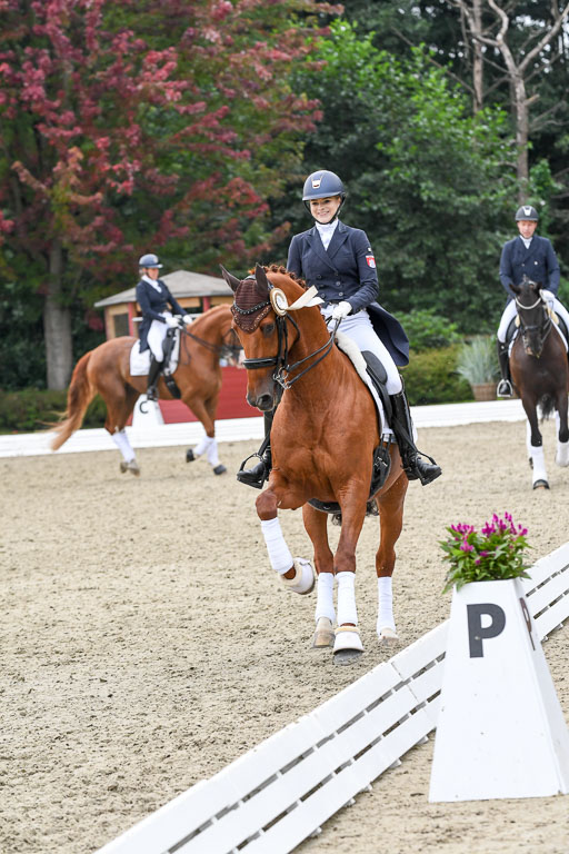 Anakenenhof    Dressur  25.08.2023 | DSC_3350 