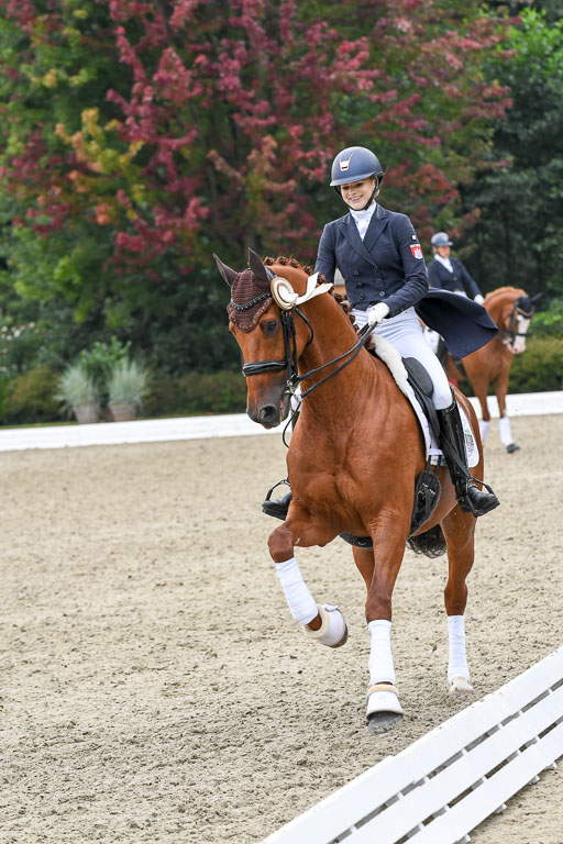 Anakenenhof    Dressur  25.08.2023 | DSC_3353 