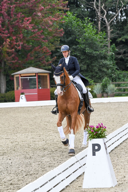 Anakenenhof    Dressur  25.08.2023 | DSC_3369 