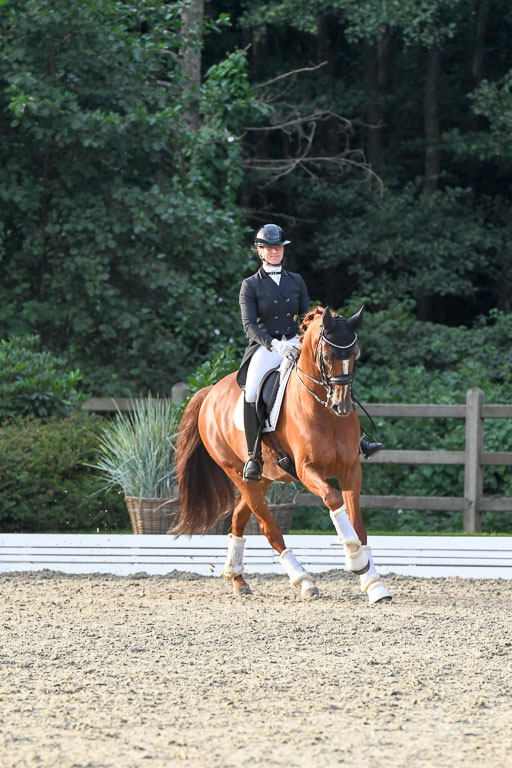 Anakenenhof    Dressur  25.08.2023 | DSC_4947 