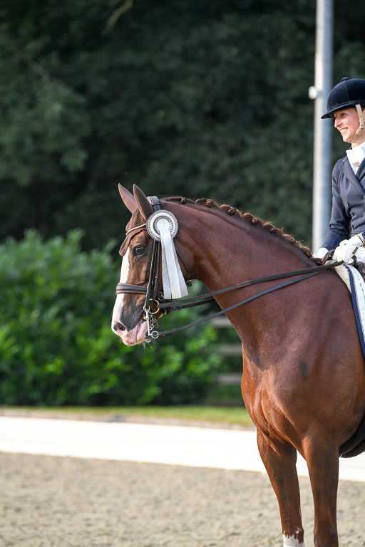 Anakenenhof    Dressur  25.08.2023 | DSC_4991 