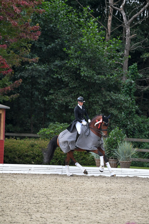 Anakenenhof    Dressur  25.08.2023 | DSC_5022 