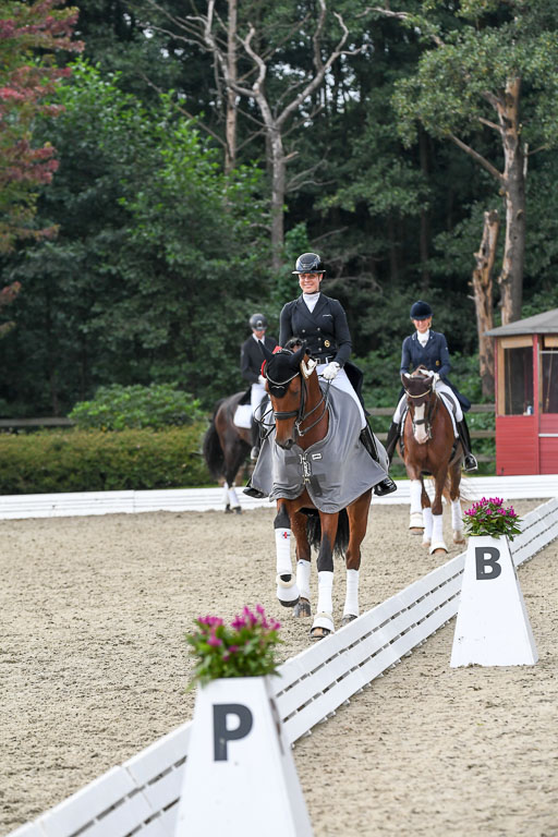 Anakenenhof    Dressur  25.08.2023 | DSC_5027 