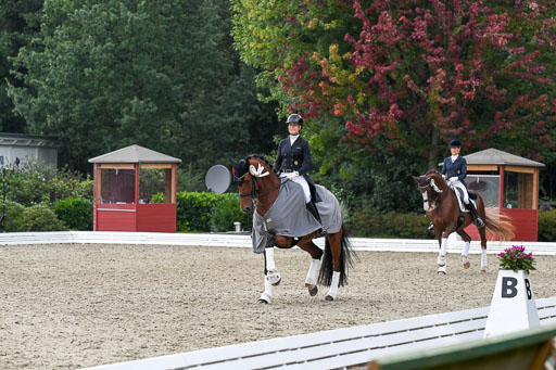 Anakenenhof    Dressur  25.08.2023 | DSC_5056 