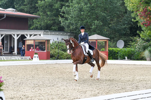 Anakenenhof    Dressur  25.08.2023 | DSC_5072 