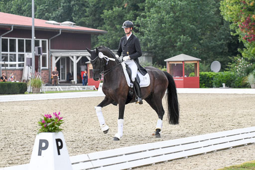 Anakenenhof    Dressur  25.08.2023 | DSC_5087 