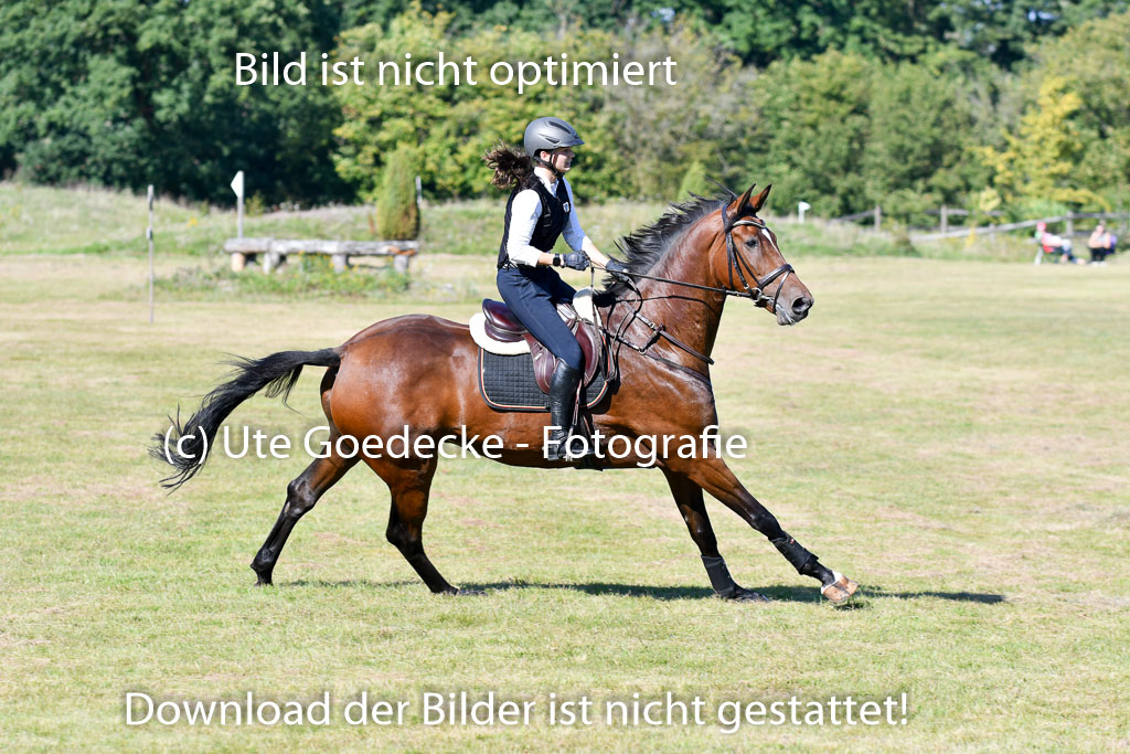 Bad Segeberg Landesturnier 2023 | Enna Joiswig - Bombastic Boy _01